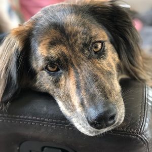 Meet your Posher, Lynn